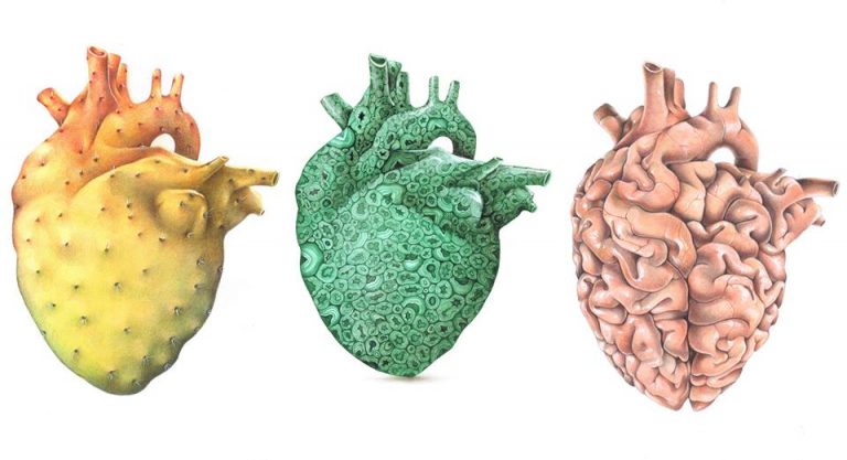 Scopri di più sull'articolo Cuori azzurrini