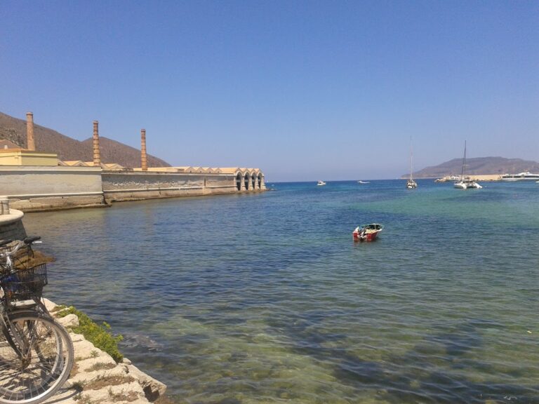 Scopri di più sull'articolo I padroni dell’isola. Storia minima dei Florio in Sicilia.